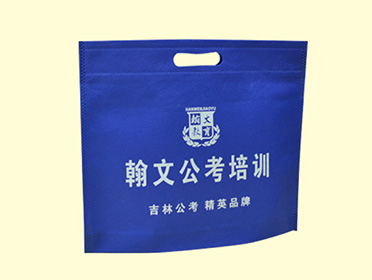 培訓宣傳袋-絲網普印袋